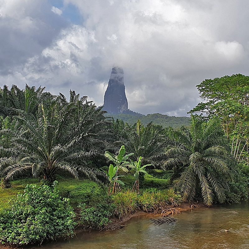 Pico Grande in São Tomé and Príncipe is captured in this breathtaking travel photograph, showcasing the dramatic volcanic peak rising steeply from lush, verdant forest. The mountain’s rugged slopes are cloaked in dense tropical vegetation, with clouds and mist swirling around its summit, creating a sense of mystery and grandeur. Sunlight filters through the clouds, highlighting the rich greens and deep shadows of the landscape, while distant valleys and ridges emphasize the scale and isolation of this iconic peak. The scene conveys awe, natural majesty, and adventure, highlighting Pico Grande as one of São Tomé’s most striking landmarks and a must-visit destination for hikers and nature lovers. Inspiration Africa specializes in bespoke, tailor-made journeys to São Tomé and Príncipe and across Africa, crafting unforgettable travel experiences in extraordinary destinations.
