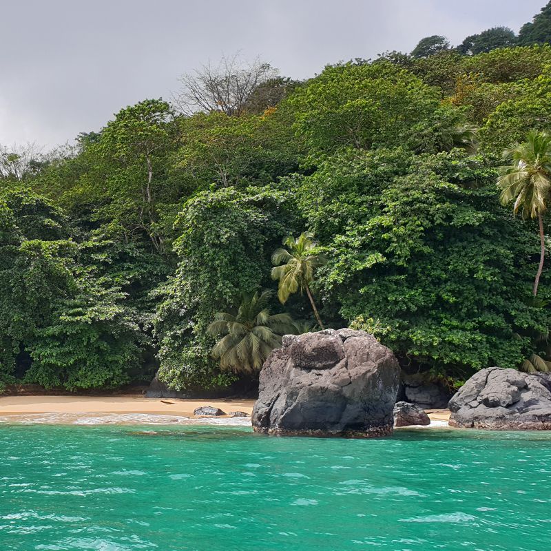 A pristine beach in Príncipe, São Tomé and Príncipe, is captured in this stunning travel photograph, showcasing soft white sand stretching along the turquoise waters of the Atlantic Ocean. Lush tropical vegetation and palm trees frame the shoreline, enhancing the sense of seclusion and natural beauty. Gentle waves lap at the shore under bright sunlight, creating a tranquil and inviting atmosphere for relaxation and exploration. The scene conveys the untouched charm and serenity of Príncipe’s coastline, highlighting the island as an idyllic escape for those seeking pristine beaches and immersive natural scenery. Inspiration Africa specializes in bespoke, tailor-made journeys to São Tomé and Príncipe and across Africa, crafting unforgettable travel experiences in extraordinary destinations.