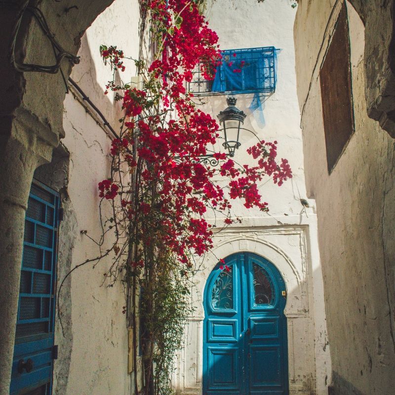 A charming town in Tunisia is captured in this vibrant travel photograph, featuring traditional white-washed walls, bright blue doors, and cascading pink bougainvillea flowers. The colorful architecture reflects the country’s Mediterranean and North African heritage, blending coastal charm with historic character. Sunlit streets, narrow alleys, and flowering facades create an idyllic and picturesque setting, inviting exploration and photography. Ideal for culture lovers, photographers, and travelers seeking authentic local experiences, this scene captures the beauty, warmth, and charm of Tunisia’s coastal towns. Inspiration Africa specializes in bespoke, tailor-made journeys to Tunisia and across Africa, crafting immersive travel experiences that showcase extraordinary culture, architecture, and unforgettable destinations.