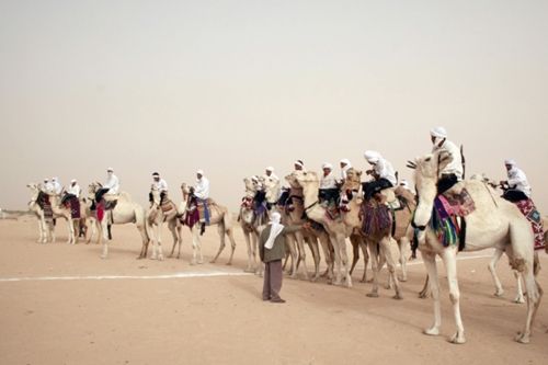 Immerse yourself in unforgettable desert experiences in Tunisia, like the one shown here—a traditional camel trek through golden dunes and the thrilling atmosphere of the Méhari camel race in Douz, the gateway to the Sahara. This image captures the spirit of adventure and cultural tradition that define southern Tunisia. Inspiration Africa organizes tailor-made desert journeys, including camel trekking, festival visits, and immersive stays with local communities. Whether you're exploring vast sandscapes or witnessing the energy of the Douz Festival, we craft experiences that connect you to the heart of the Sahara. Travel deeper with Inspiration Africa.