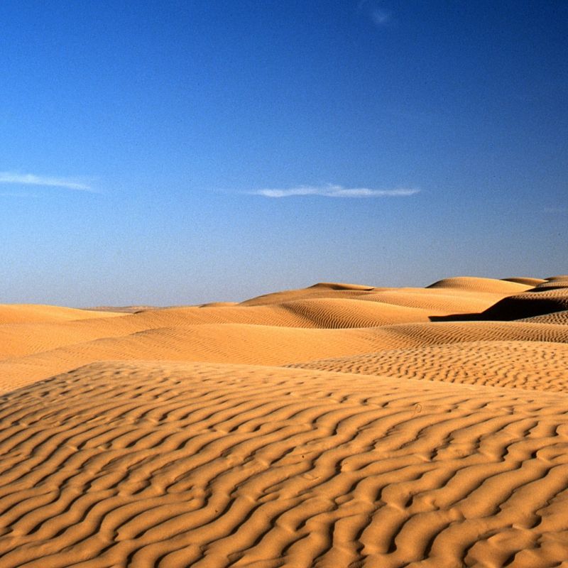 Experience the golden beauty of Tunisia’s Sahara Desert with this striking image of sweeping sand dunes shaped by wind and time. The photo captures the elegant curves, shifting shadows and warm tones of the desert landscape, revealing both its tranquility and immense scale. From soft ridgelines to endless horizons, the Tunisian Sahara offers a captivating blend of serenity and drama, showcasing one of North Africa’s most iconic natural environments.
Inspiration Africa designs tailor-made journeys to Tunisia, giving travellers the chance to explore its stunning dunes, discover traditional desert culture and experience the timeless magic of the Sahara in all its atmospheric splendour.