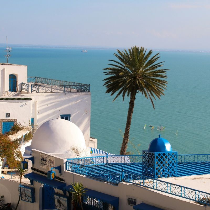 Discover the Mediterranean charm of Tunisia with Inspiration Africa. Overlooking the sea, the blue-and-white village of Sidi Bou Said captures the elegance and cultural depth of Tunisia’s coast. We specialize in designing bespoke, tailor-made journeys that combine extraordinary perspectives with Africa’s most remarkable destinations, blending history, architecture, and scenic coastal beauty.