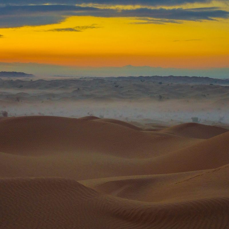 Experience the golden beauty of Tunisia’s Sahara Desert with this striking image of sweeping sand dunes shaped by wind and time. The photo captures the elegant curves, shifting shadows and warm tones of the desert landscape, revealing both its tranquility and immense scale. From soft ridgelines to endless horizons, the Tunisian Sahara offers a captivating blend of serenity and drama, showcasing one of North Africa’s most iconic natural environments.
Inspiration Africa designs tailor-made journeys to Tunisia, giving travellers the chance to explore its stunning dunes, discover traditional desert culture and experience the timeless magic of the Sahara in all its atmospheric splendour.