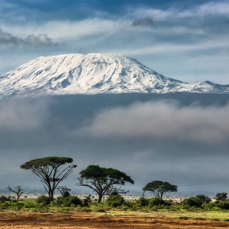 A snow-capped Mount Kilimanjaro in Tanzania is captured in this breathtaking travel photograph, showcasing the highest peak in Africa rising dramatically above the surrounding plains. The iconic volcanic mountain is partially veiled by soft clouds, while its glistening ice and snow-covered summit contrast strikingly with the warmer tones of the lower slopes and savannah below. Gentle natural light enhances the mountain’s vast scale, rugged contours, and layered ecosystems, from forested foothills to alpine summit. The scene conveys awe, majesty, and the timeless beauty of one of Africa’s most famous natural landmarks. Inspiration Africa curates bespoke, tailor-made journeys to Tanzania and across Africa, combining iconic landscapes with immersive wildlife, cultural, and adventure experiences.