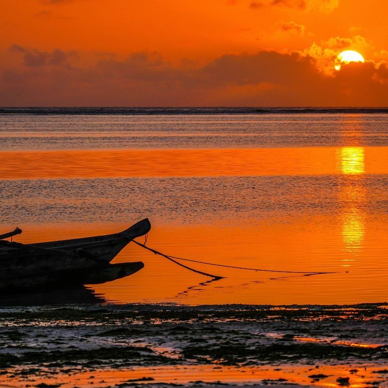 A traditional wooden dhow rests by the turquoise waters of Zanzibar at sunrise, captured in this breathtaking travel photograph. Bathed in vibrant orange and gold light, the scene showcases the island’s serene beaches, clear waters, and iconic maritime culture. Sailing on a dhow in Zanzibar offers travelers an authentic way to explore the coastline, nearby islands, and tranquil seascapes, while experiencing the beauty of East Africa’s Indian Ocean. Ideal for adventure seekers, nature lovers, and cultural explorers, this moment captures the magic of Zanzibar’s sunrises and coastal charm. Inspiration Africa creates bespoke, tailor-made journeys to Zanzibar and across Africa, delivering authentic, unforgettable experiences that combine natural beauty, adventure, and cultural immersion.