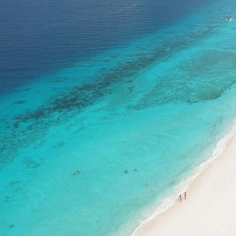 Experience the serene beauty of Tanzania with this captivating image of a tropical beach. The photo captures powdery white sands, turquoise waters, and gently swaying palms, creating a picture-perfect scene of a coastal paradise. The vibrant colors and tranquil atmosphere reflect the natural charm and idyllic landscapes that make Tanzania’s beaches an unforgettable escape.
Inspiration Africa crafts tailor-made journeys to Tanzania, offering travellers the opportunity to relax on pristine beaches, explore vibrant coastal ecosystems, and immerse themselves in the stunning natural beauty and tropical serenity of this extraordinary African destination.