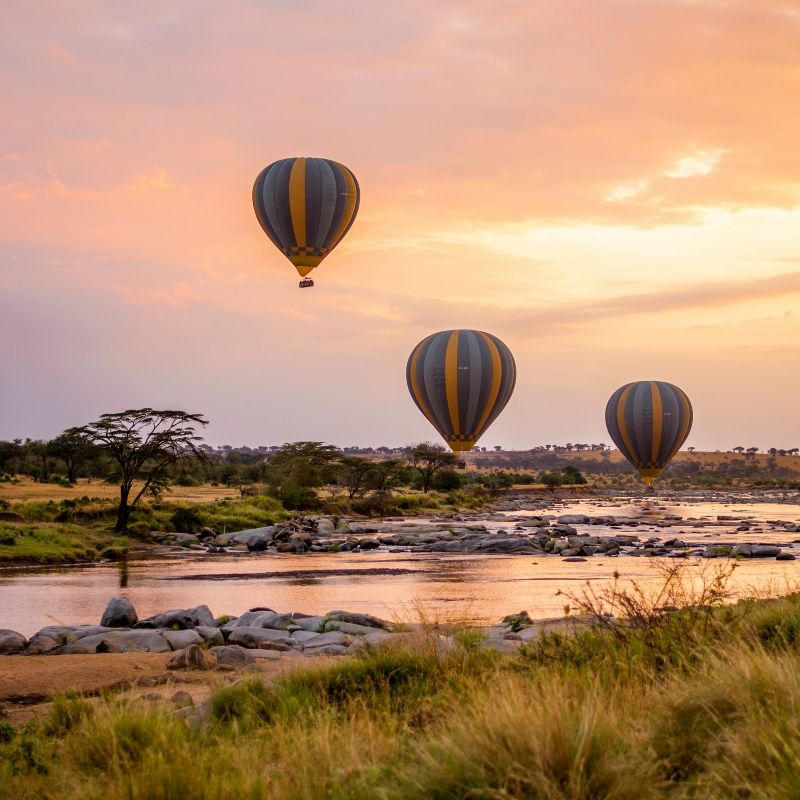 Gaze upon a breathtaking balloon flight at sunrise over Tanzania’s Serengeti National Park. This captivating photograph captures a hot air balloon drifting silently above the vast savannah as the first golden light illuminates the plains below. From this unique vantage point, wildlife, winding rivers, and endless horizons come into view, showcasing the scale and beauty of one of Africa’s most iconic ecosystems. A sunrise balloon safari offers a serene and unforgettable way to experience the Serengeti. Inspiration Africa specializes in designing bespoke, tailor-made journeys that combine extraordinary perspectives with Africa’s most remarkable safari destinations.
