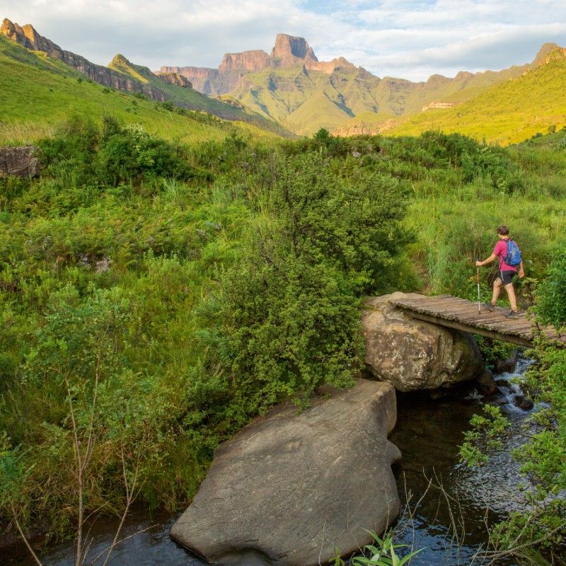 Hikers traverse the dramatic landscapes of the Drakensberg Mountains in South Africa, captured in this stunning adventure travel photograph. Known for their towering peaks, deep valleys, and rugged escarpments, the Drakensberg Mountains offer some of South Africa’s most breathtaking trekking experiences. Trails wind through lush grasslands, indigenous forests, and rocky cliffs, providing panoramic views and opportunities to encounter unique wildlife and ancient rock art. Ideal for adventure seekers, nature lovers, and photographers, hiking in the Drakensberg combines physical challenge with immersive natural beauty and serene surroundings. Inspiration Africa specializes in bespoke, tailor-made journeys to South Africa and across Africa, crafting authentic, unforgettable hiking and adventure experiences in extraordinary destinations.