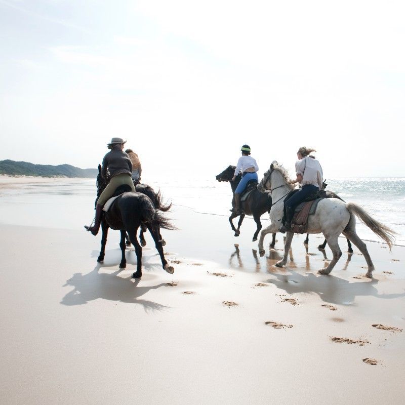 Riders enjoying a beach horseback safari in KwaZulu-Natal, showcasing how South Africa is a fantastic destination for horse riding adventures—an experience curated by Inspiration Africa.