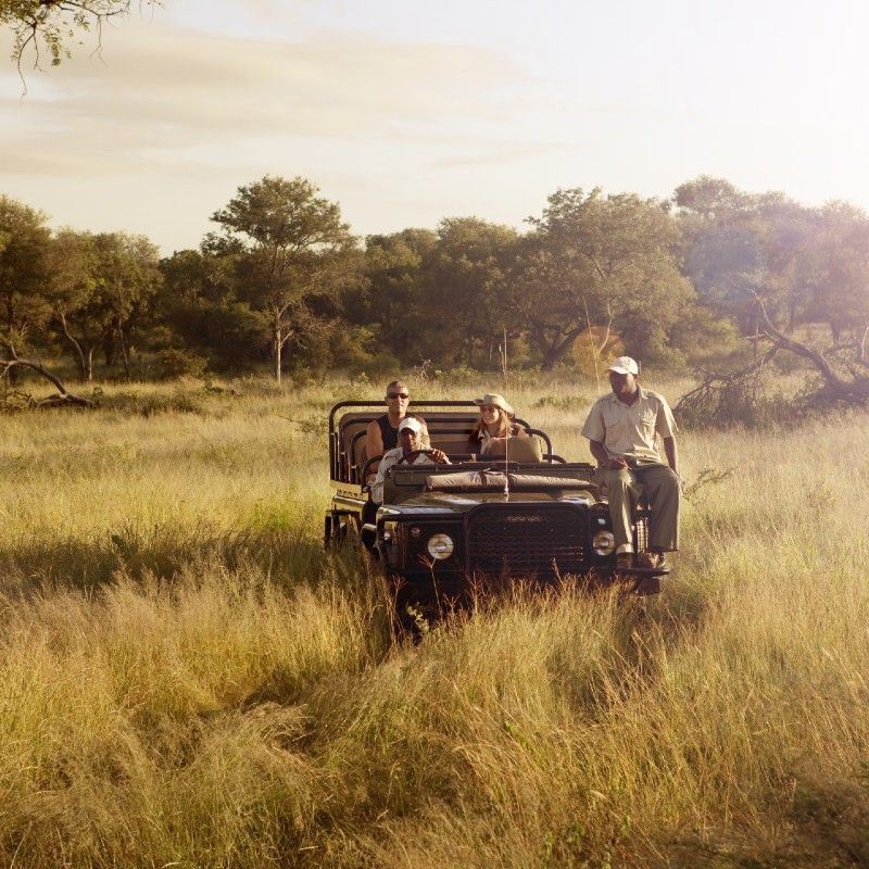 Guests enjoying a daytime game drive in an open safari jeep with a ranger in South Africa, showcasing classic Big Five wildlife viewing—an immersive safari experience curated by Inspiration Africa.