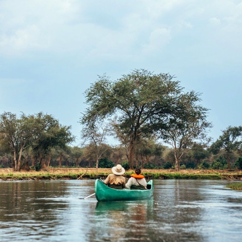 Tourists paddle a canoe along the serene waters of the Lower Zambezi National Park in Zambia, captured in this immersive safari travel photograph. Surrounded by lush riverbanks, towering trees, and abundant wildlife, canoeing in the Lower Zambezi offers a peaceful yet adventurous way to explore one of Africa’s most pristine national parks. Travelers can spot elephants, hippos, crocodiles, and diverse birdlife while gliding through calm channels, experiencing the park’s natural beauty from a unique water-level perspective. Ideal for nature lovers and adventure seekers, this canoe safari combines tranquility, wildlife encounters, and authentic African landscapes. Inspiration Africa specializes in bespoke, tailor-made safaris across Zambia and Africa, creating unforgettable journeys that showcase extraordinary destinations and immersive wildlife experiences.