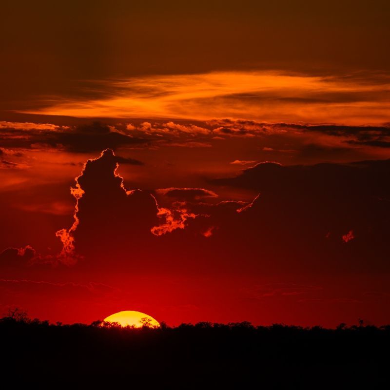 A spectacular bright orange sunset paints the skies above Hwange National Park in Zimbabwe, casting a warm golden glow across the vast wilderness during a classic African sundowner experience. As the sun dips below the horizon, vibrant shades of amber, crimson, and gold illuminate the landscape, creating a breathtaking backdrop to one of Southern Africa’s most iconic safari destinations. The peaceful atmosphere, expansive views, and dramatic evening light capture the magic of the African bush at the end of the day, when wildlife stirs and the landscape takes on an unforgettable beauty.
Inspiration Africa specializes in bespoke, tailor-made journeys across Zimbabwe and the African continent, creating immersive travel experiences that combine extraordinary wildlife encounters, authentic safari traditions, and breathtaking natural landscapes. From sunset sundowners in Hwange National Park to exclusive safari adventures and luxury wilderness escapes, every itinerary is carefully curated to showcase the beauty, diversity, and spirit of Africa.