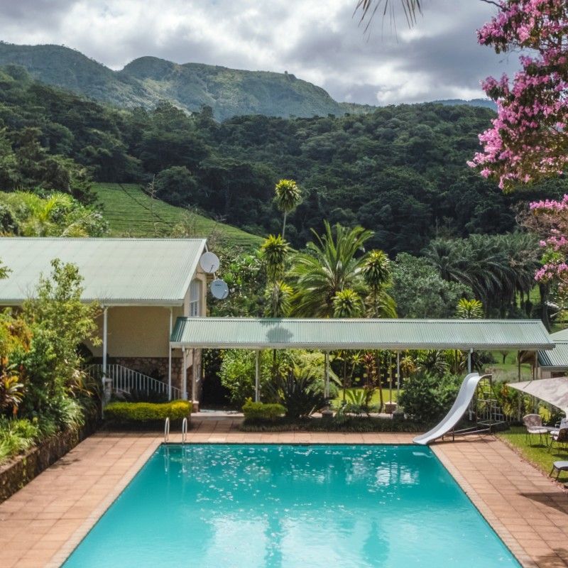 The swimming pool at Aberfoyle Lodge in Zimbabwe is captured in this inviting travel photograph, nestled among lush greenery and mature trees. The calm, sparkling water reflects the surrounding foliage, creating a tranquil and private oasis for guests. Sun loungers and shaded areas are arranged around the pool, offering comfortable spots to relax while enjoying the peaceful natural environment. The scene conveys serenity, harmony with nature, and understated comfort, highlighting Aberfoyle Lodge as a welcoming retreat where guests can unwind in a verdant, secluded setting. Inspiration Africa specializes in bespoke, tailor-made journeys to Zimbabwe and across Africa, crafting unforgettable travel experiences in extraordinary destinations.