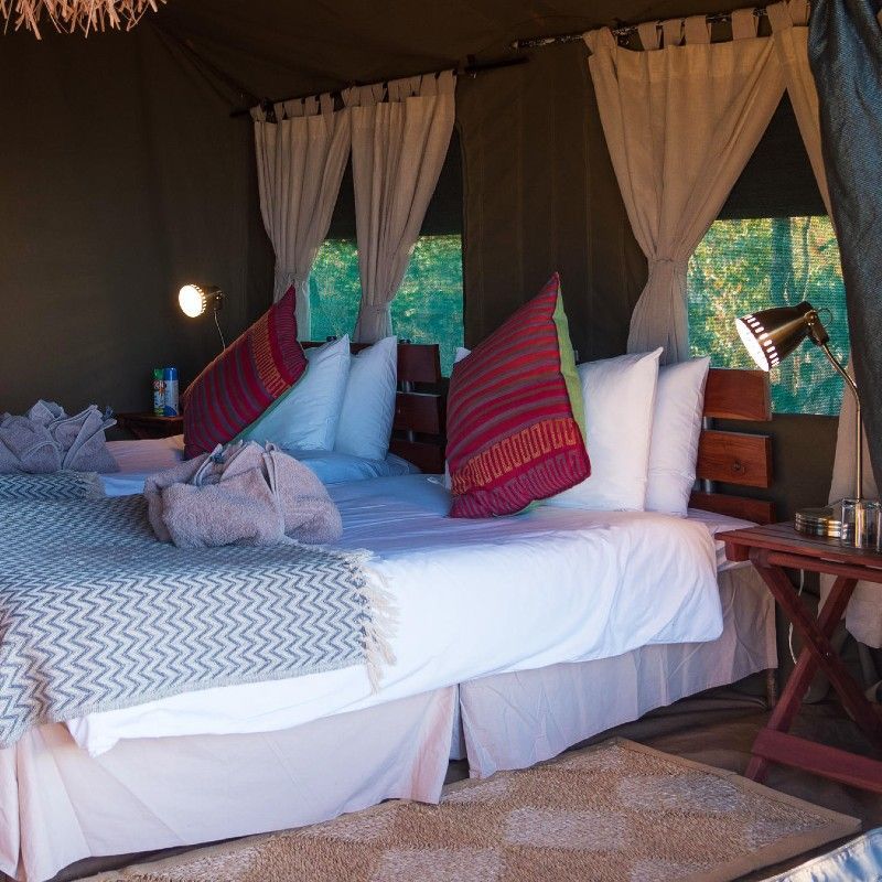The interior of one of the tents at Hwange Bush Camp in Zimbabwe is captured in this inviting travel photograph, showcasing a comfortable and thoughtfully designed space set within the heart of Hwange National Park. A well-appointed bed, natural wooden furnishings, and soft neutral tones create a warm and relaxing atmosphere that reflects the textures and colors of the surrounding bush. Large canvas walls and open windows allow natural light and fresh air to fill the space, offering unobstructed views of the wilderness and nearby wildlife. The interior balances authentic safari-style living with understated comfort, providing guests with a serene retreat immersed in one of Zimbabwe’s most wildlife-rich environments. Inspiration Africa specializes in bespoke, tailor-made journeys to Zimbabwe and across Africa, crafting unforgettable safari experiences in extraordinary wilderness destinations.