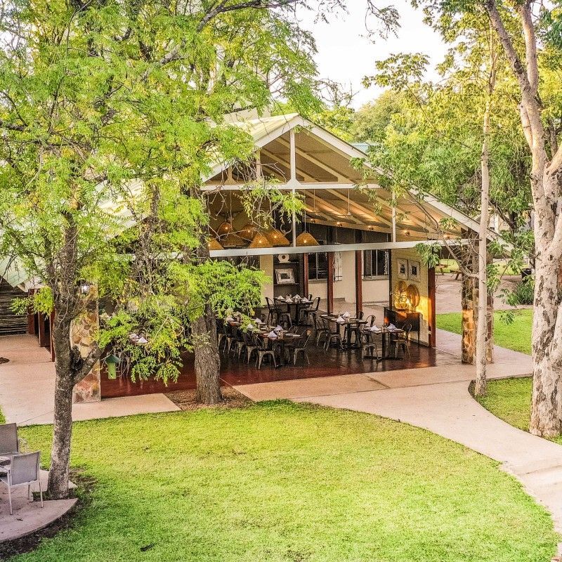 The exterior of Robins Camp in Zimbabwe is featured in this atmospheric travel photograph, set within the remote wilderness of Hwange National Park. Thatched-roof buildings and tented structures are positioned among mature trees, blending naturally into the surrounding bush landscape. Sandy pathways, shaded verandas, and open communal spaces create a sense of relaxed safari living, where nature and comfort exist in harmony. The scene reflects the camp’s authentic character and its connection to the wild environment, offering guests an immersive stay in one of Zimbabwe’s most iconic wildlife regions. Inspiration Africa specializes in bespoke, tailor-made journeys to Zimbabwe and across Africa, crafting unforgettable safari experiences in extraordinary wilderness destinations.