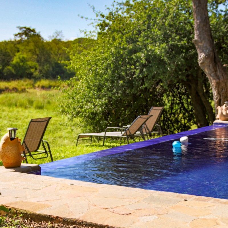 The swimming pool at Sian Simba River Lodge in Zimbabwe is captured in this serene travel photograph, set along the banks of the Zambezi River and surrounded by lush riverside vegetation. The pool offers a refreshing retreat with uninterrupted views across the water, where wildlife and birdlife are often seen moving along the river’s edge. Sun loungers and shaded areas create inviting spaces for relaxation, while the natural design of the lodge blends seamlessly with the surrounding landscape. The scene conveys a peaceful riverside escape, combining comfort, scenic beauty, and immersion in one of Zimbabwe’s most wildlife-rich environments. Inspiration Africa specializes in bespoke, tailor-made journeys to Zimbabwe and across Africa, crafting unforgettable safari experiences in extraordinary wilderness destinations.