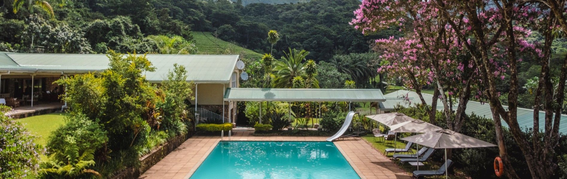 The swimming pool overlooking the mountains at Aberfoyle Lodge in Zimbabwe is captured in this serene travel photograph, showcasing a tranquil retreat set high in the Eastern Highlands. The pool’s calm waters reflect the surrounding rolling hills, forests, and distant mountain peaks, creating a peaceful and picturesque atmosphere. Lush greenery frames the pool area, emphasizing the lodge’s elevated position and connection to its natural surroundings. The scene invites guests to relax and take in sweeping views of the landscape, where cool mountain air and quiet scenery define the experience. This image reflects the charm and beauty of Aberfoyle Lodge, combining comfort, scenic vistas, and a deep sense of escape. Inspiration Africa specializes in bespoke, tailor-made journeys to Zimbabwe and across Africa, crafting unforgettable travel experiences in extraordinary destinations.