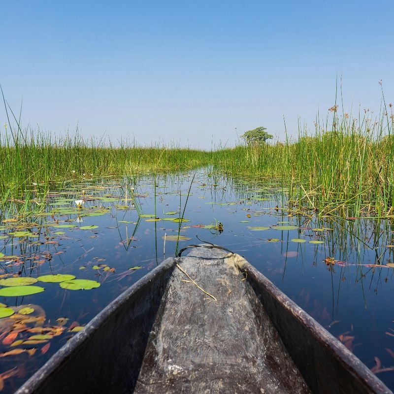 Experience the extraordinary beauty of Botswana’s Okavango Delta during the rainy season with this breathtaking aerial image. The photo captures the vast, water-filled channels weaving through lush green floodplains, reflecting the sky and creating a vibrant mosaic of life. This seasonal transformation attracts an abundance of wildlife, from elephants and hippos to countless bird species, highlighting the delta’s rich biodiversity and its status as one of Africa’s most iconic wetland ecosystems.
Inspiration Africa crafts tailor-made journeys to Botswana, offering travellers the chance to explore the Okavango Delta by mokoro, witness extraordinary wildlife, and immerse themselves in the ever-changing landscapes of one of Africa’s most unique and spectacular natural wonders.