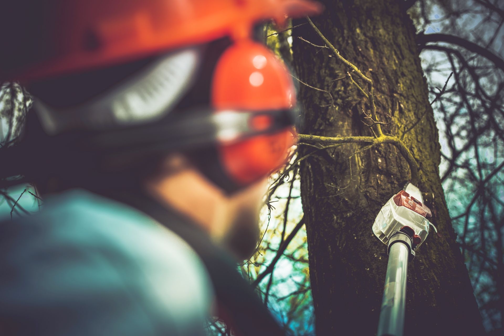 Person with safety gear using a saw on a tree trunk. Person with safety gear using a saw on a tree trunk.