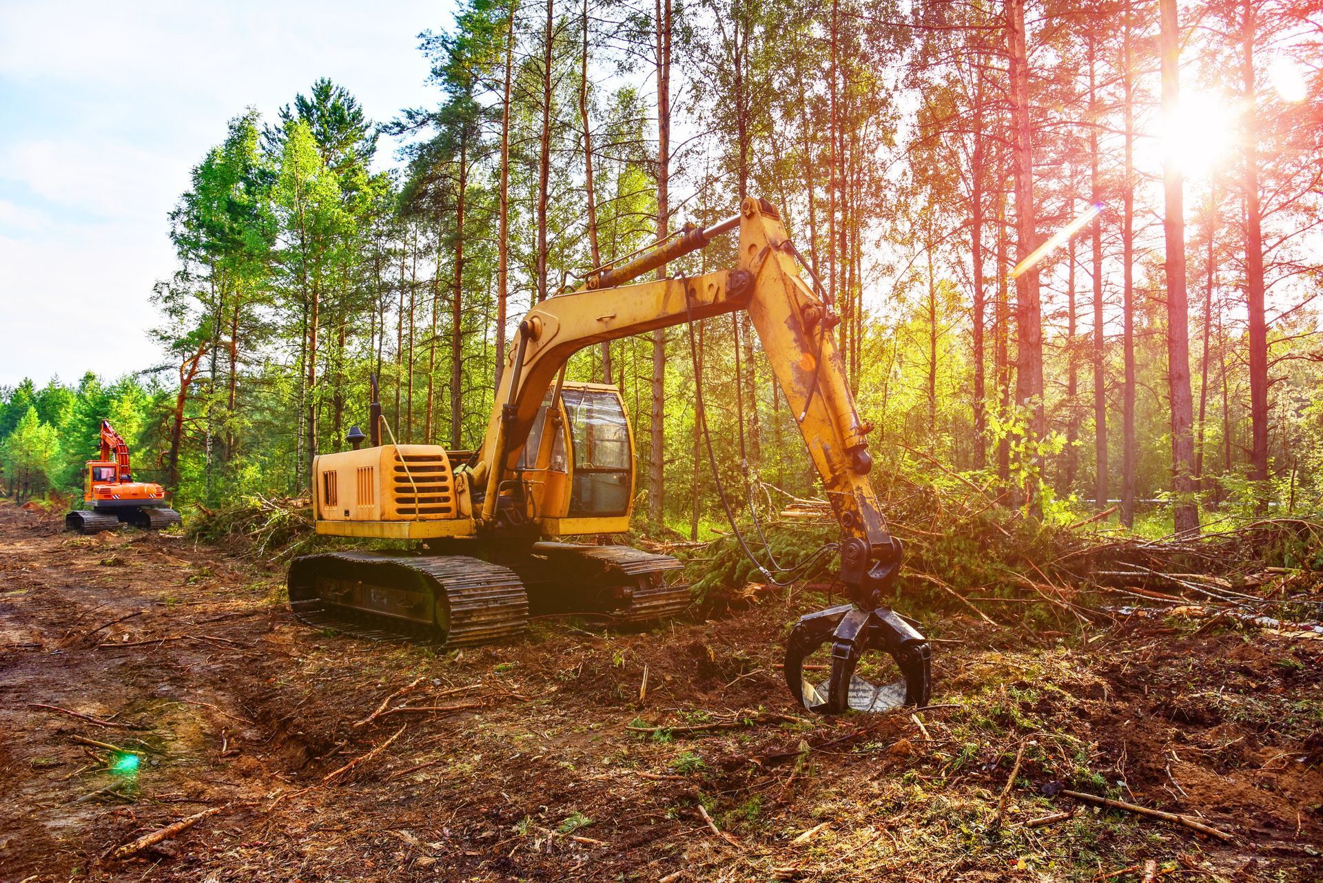 Yellow excavator in a forest clearing, removing trees; sun shines through the trees. Yellow excavator in a forest clearing, removing trees; sun shines through the trees.