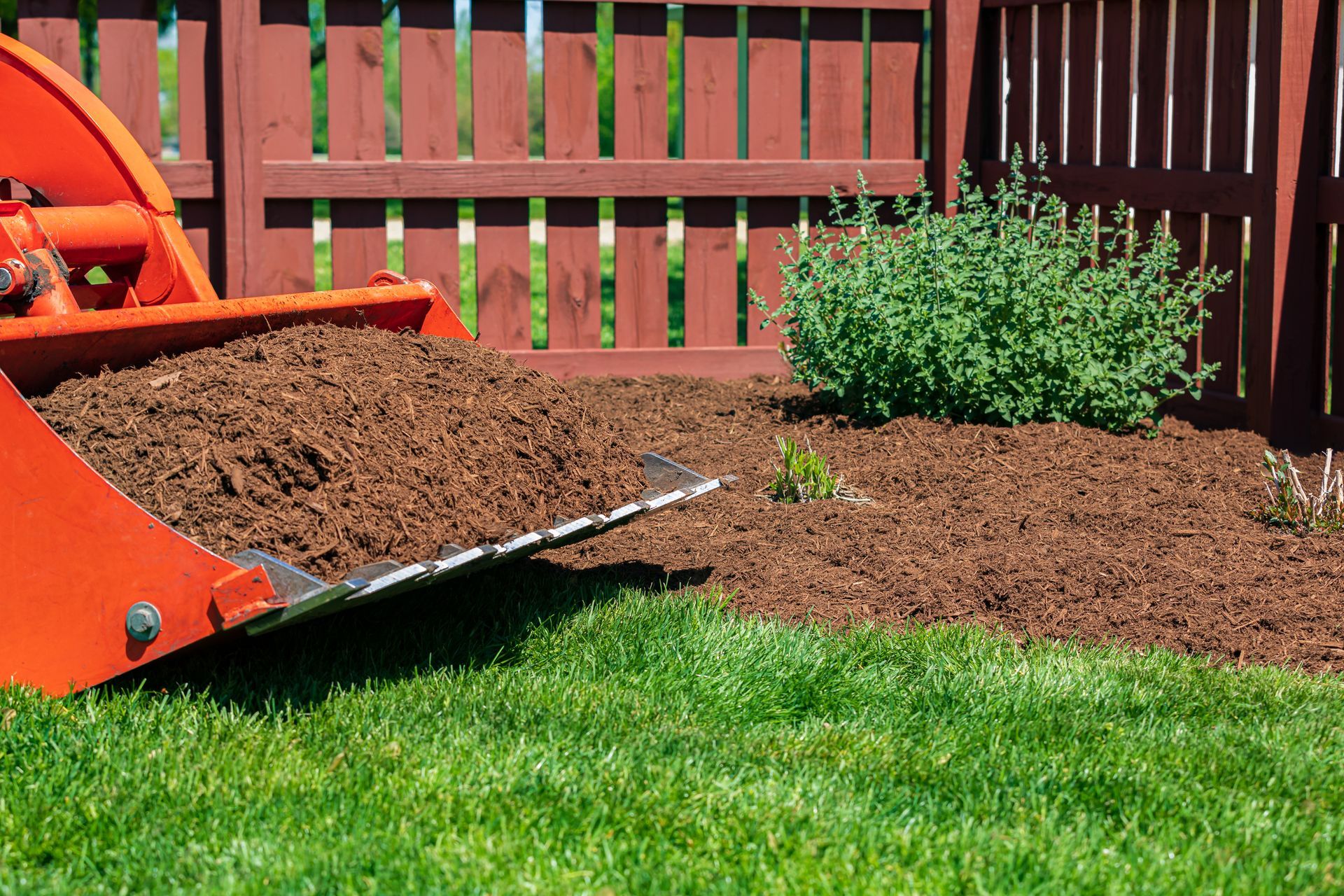 Orange tractor bucket dumping mulch onto a garden bed with a red fence in the background.