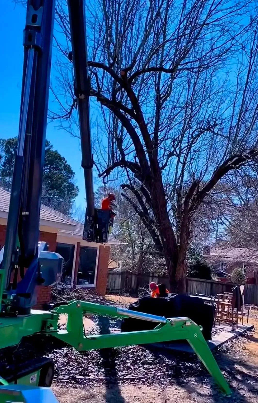 Tree-trimming crew using a bucket lift beside a large leafless tree on a street