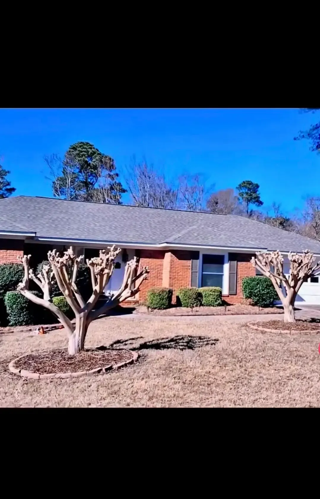 Single-story brick house with gray roof, trimmed shrubs, and leafless trees under a bright blue sky.