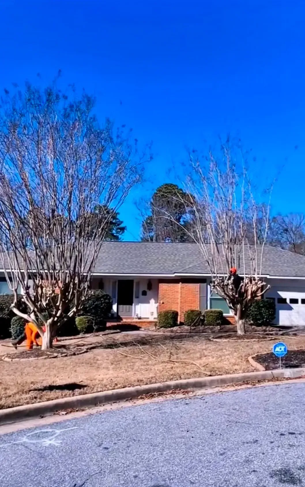 Suburban house with leafless trees, a blue sky, and a gravel driveway in front.