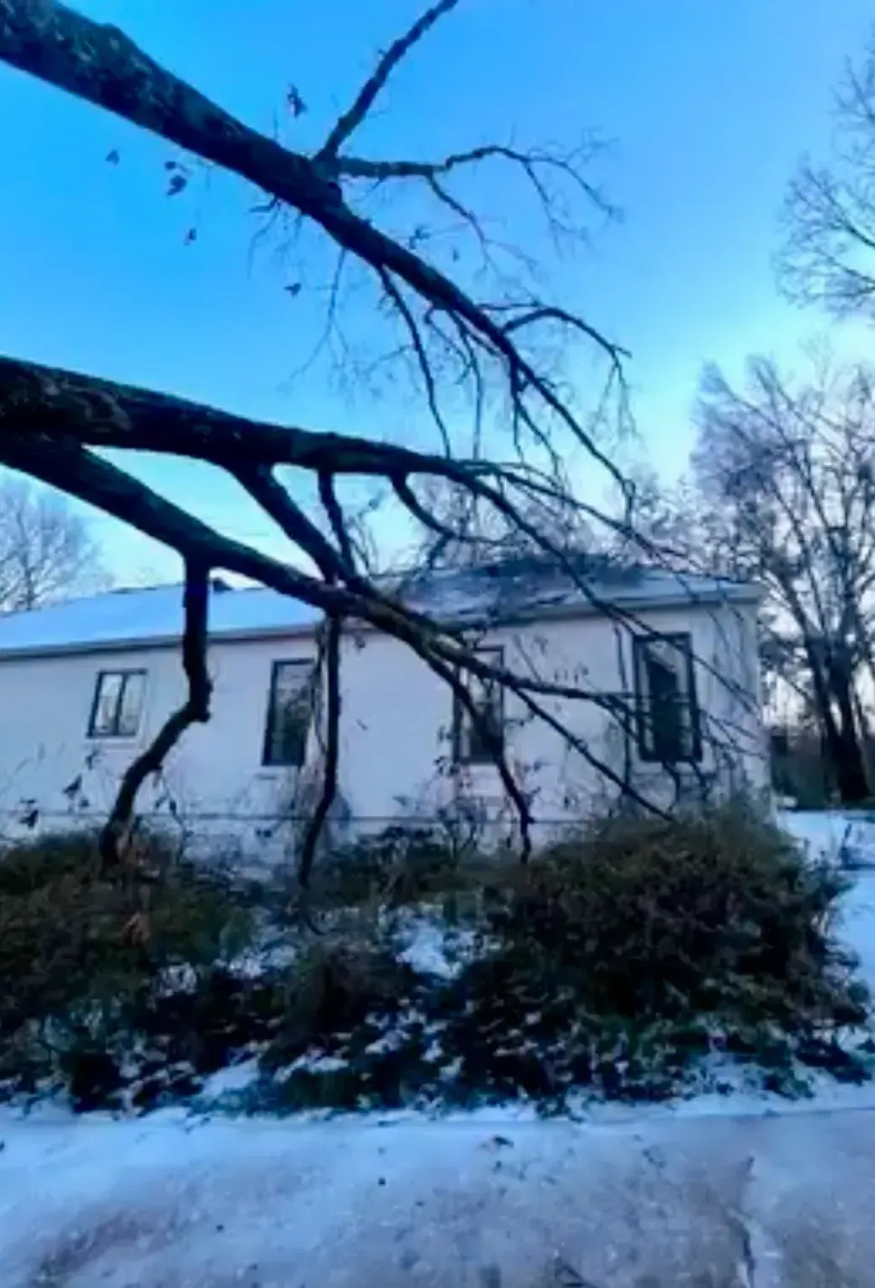 Snow-covered yard with a white house and fallen tree branches in the foreground.