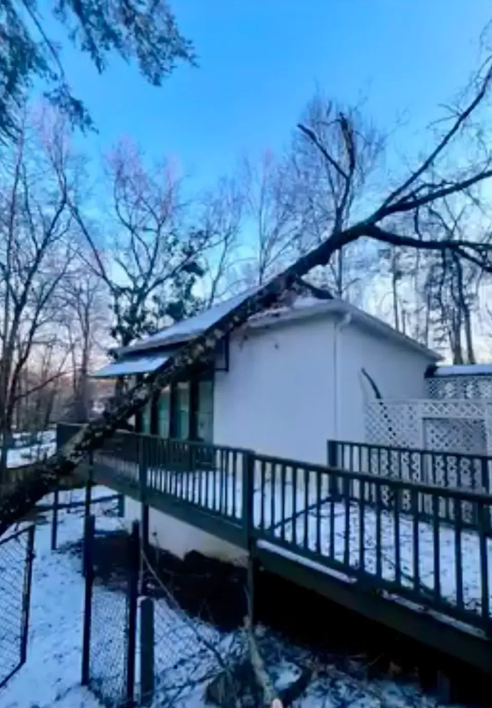Snowy house with a deck and railing beside bare trees under a blue sky