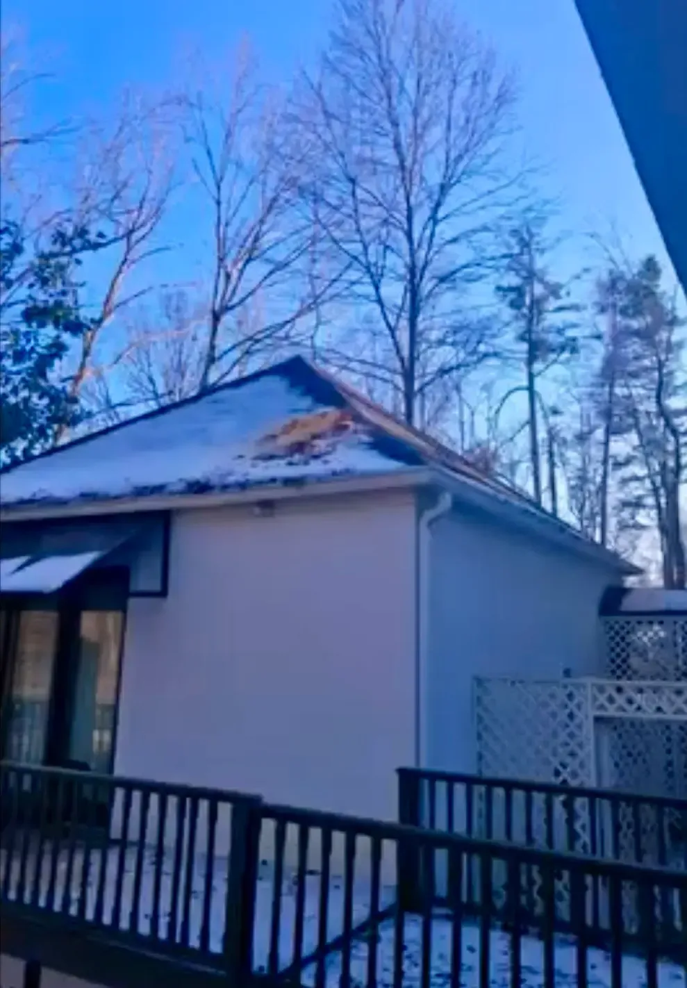 Snow-dusted white house with black railing and bare trees under a blue sky