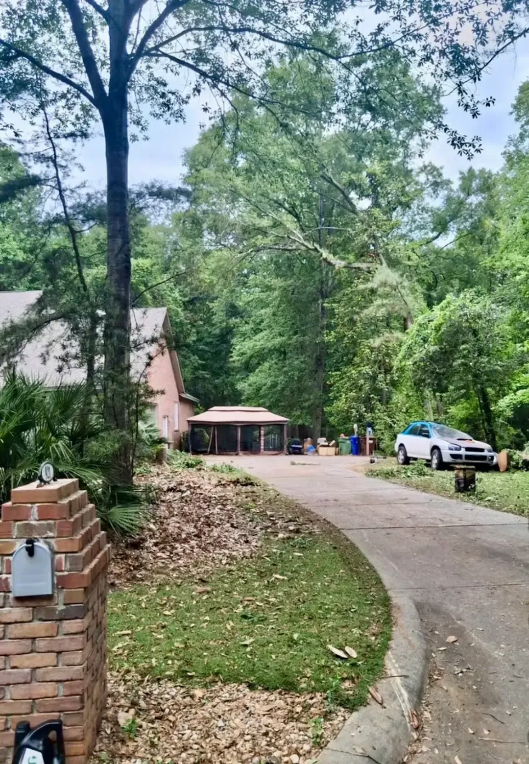 Curving driveway to a house amid tall trees, with a white SUV parked on the right.