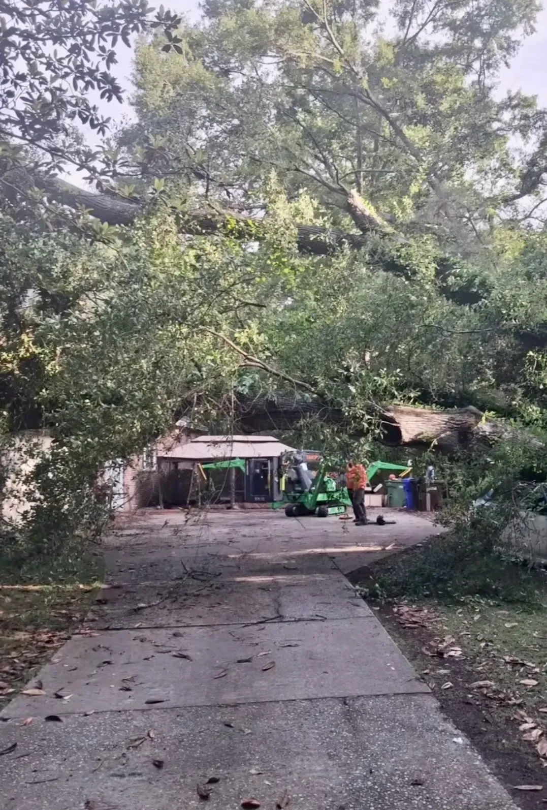 Tree-lined path leading to a small outdoor shelter with a few people seated beneath it