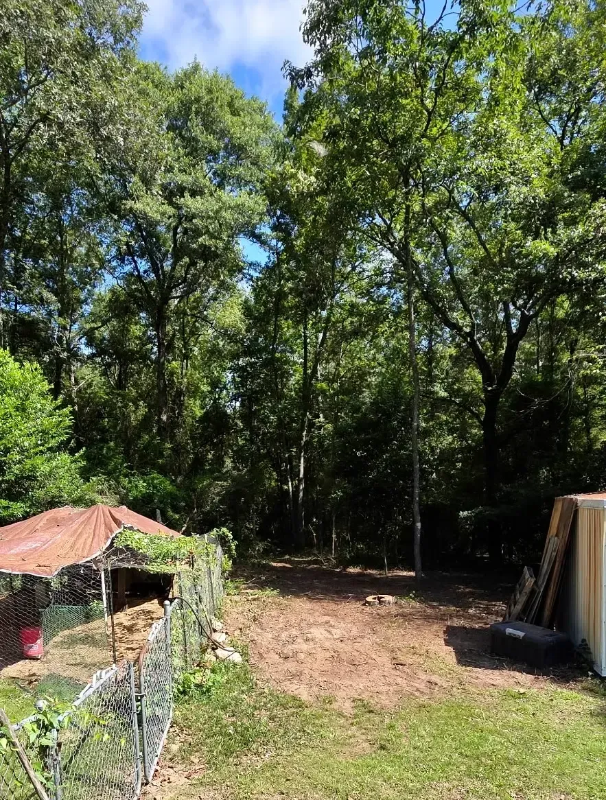 Tree-lined backyard with grass, dirt clearing, and a small shed with a rusted roof.