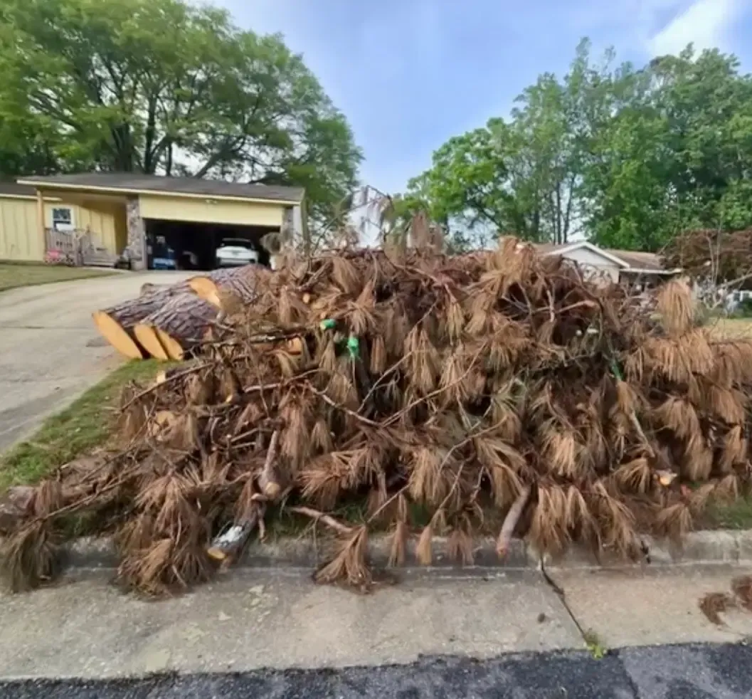 Large pile of brown palm fronds stacked on a curb beside a driveway and garage, with trees in the background