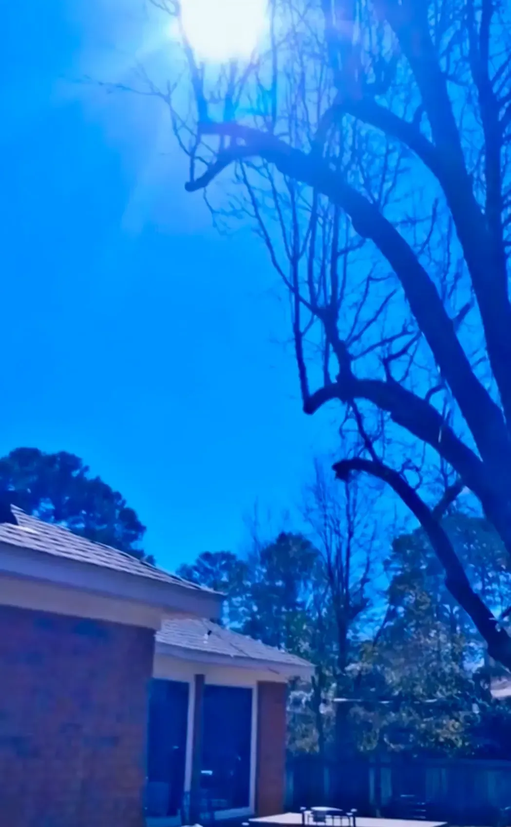 Bright blue sky over tall leafless trees beside a brick house rooftop and fenced yard