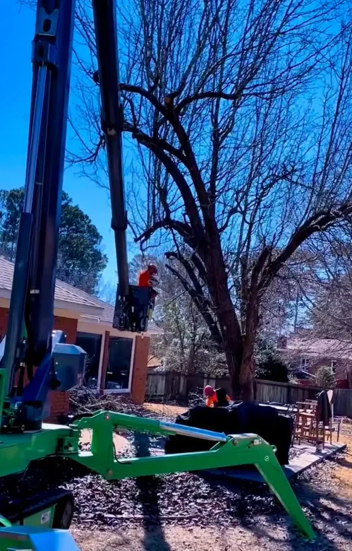 Worker in neon green shirt using a leaf blower along a sidewalk in a tree-lined neighborhood.