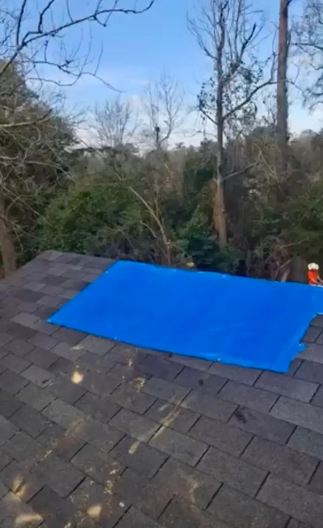 Blue tarp spread on a shingled roof beside bare trees and brush.