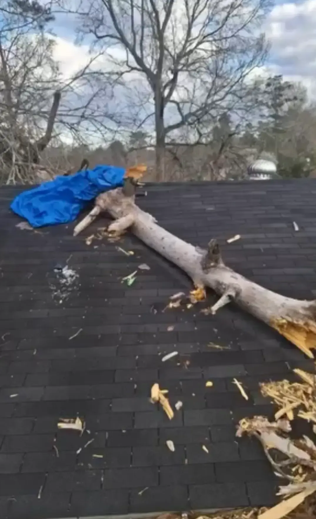 Large fallen tree limb on a dark roof covered with blue tarp and debris.