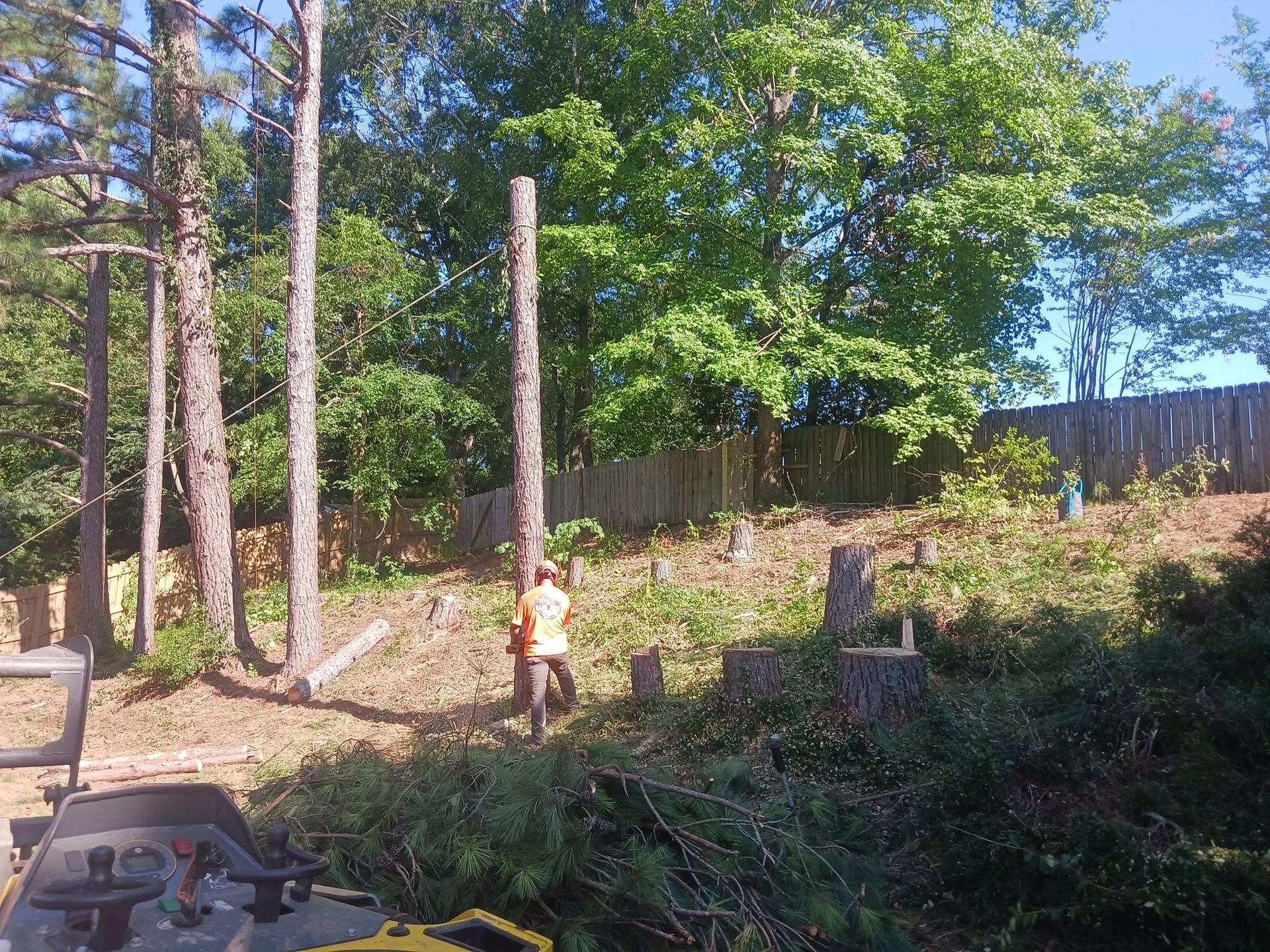 Person in an orange shirt stands in a wooded yard with felled branches and tall tree trunks.