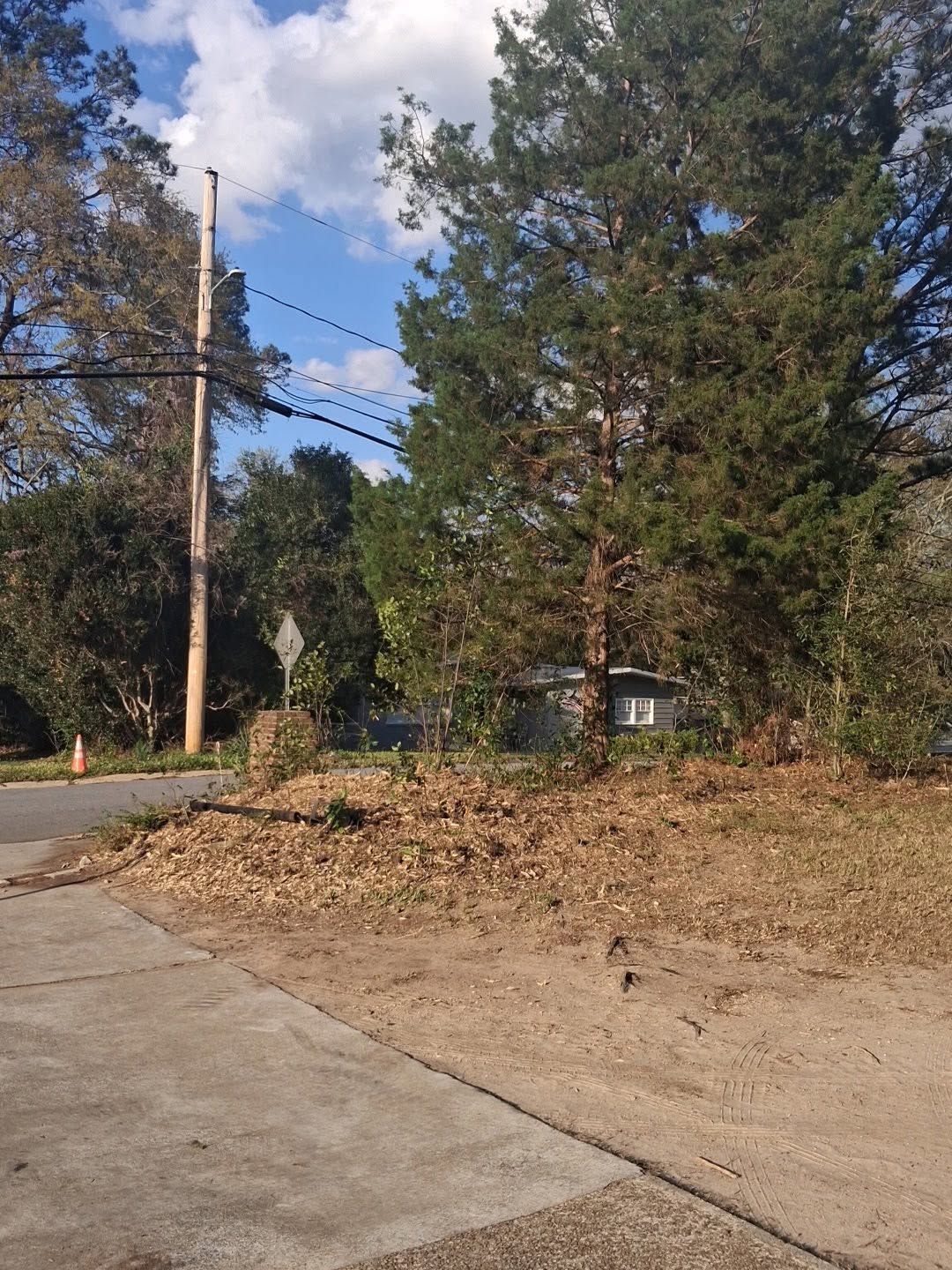 Roadside with piled tree branches, utility pole and wires, under partly cloudy sky.