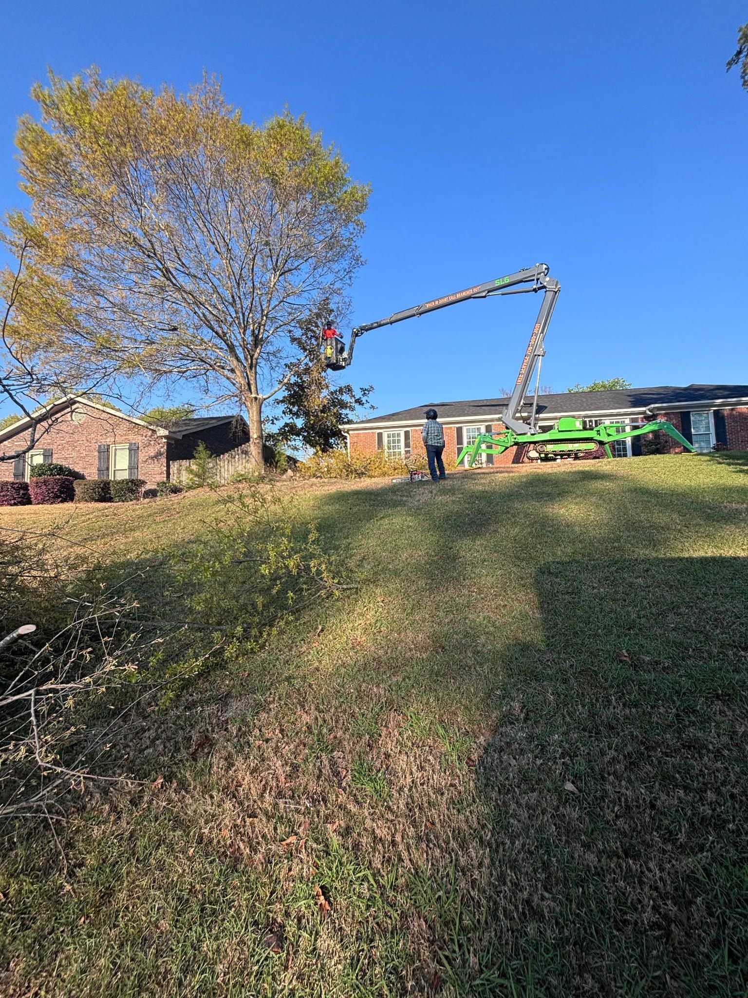 Tree removal crew using a cherry picker beside a large tree and house on a sunny day