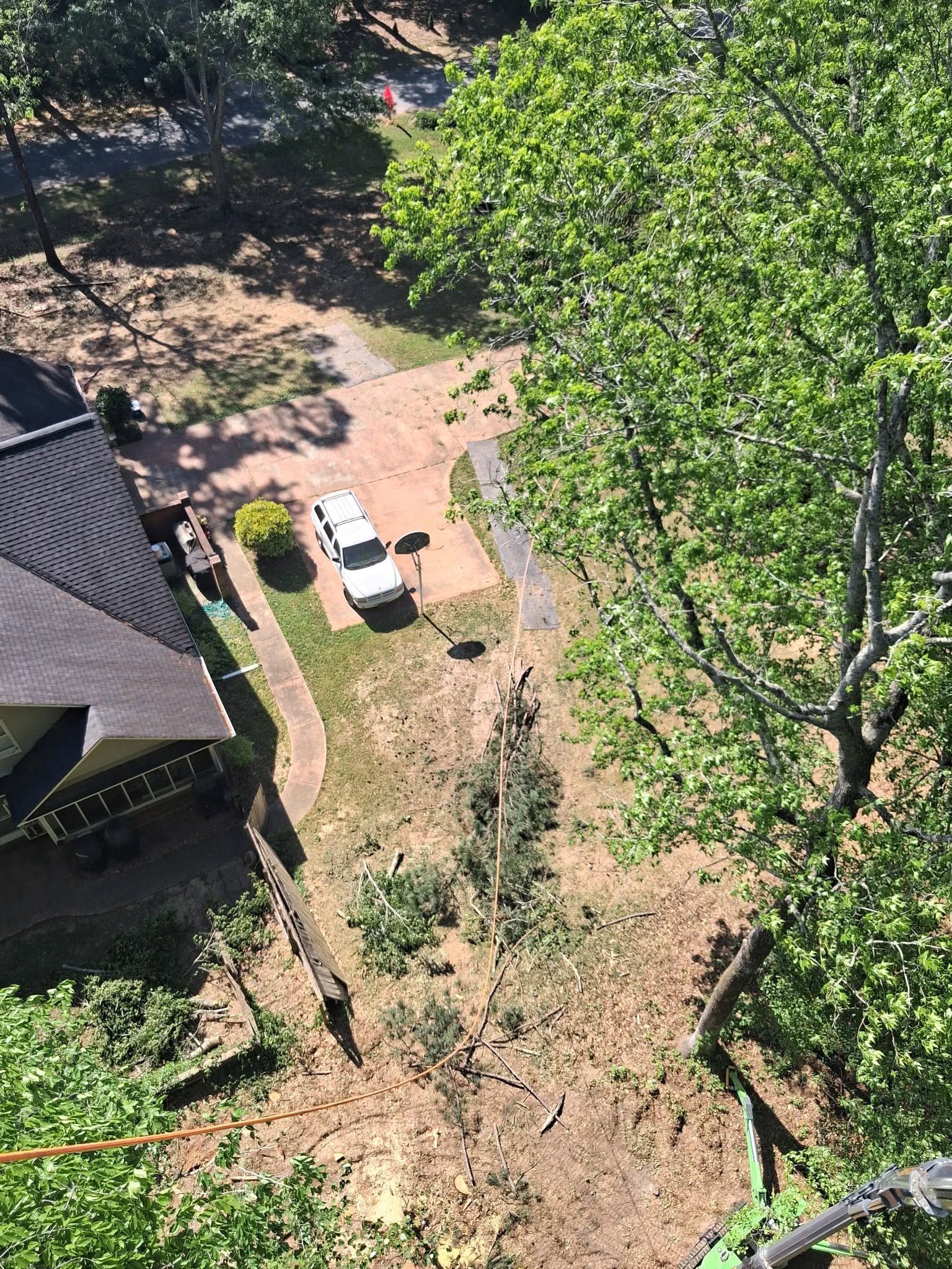 Aerial view of a dirt yard beside a house, with a white vehicle and large trees.