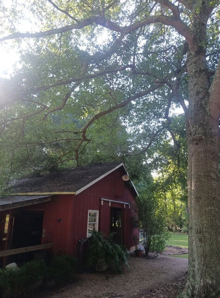 Red barn under large trees beside a dirt path in a wooded yard