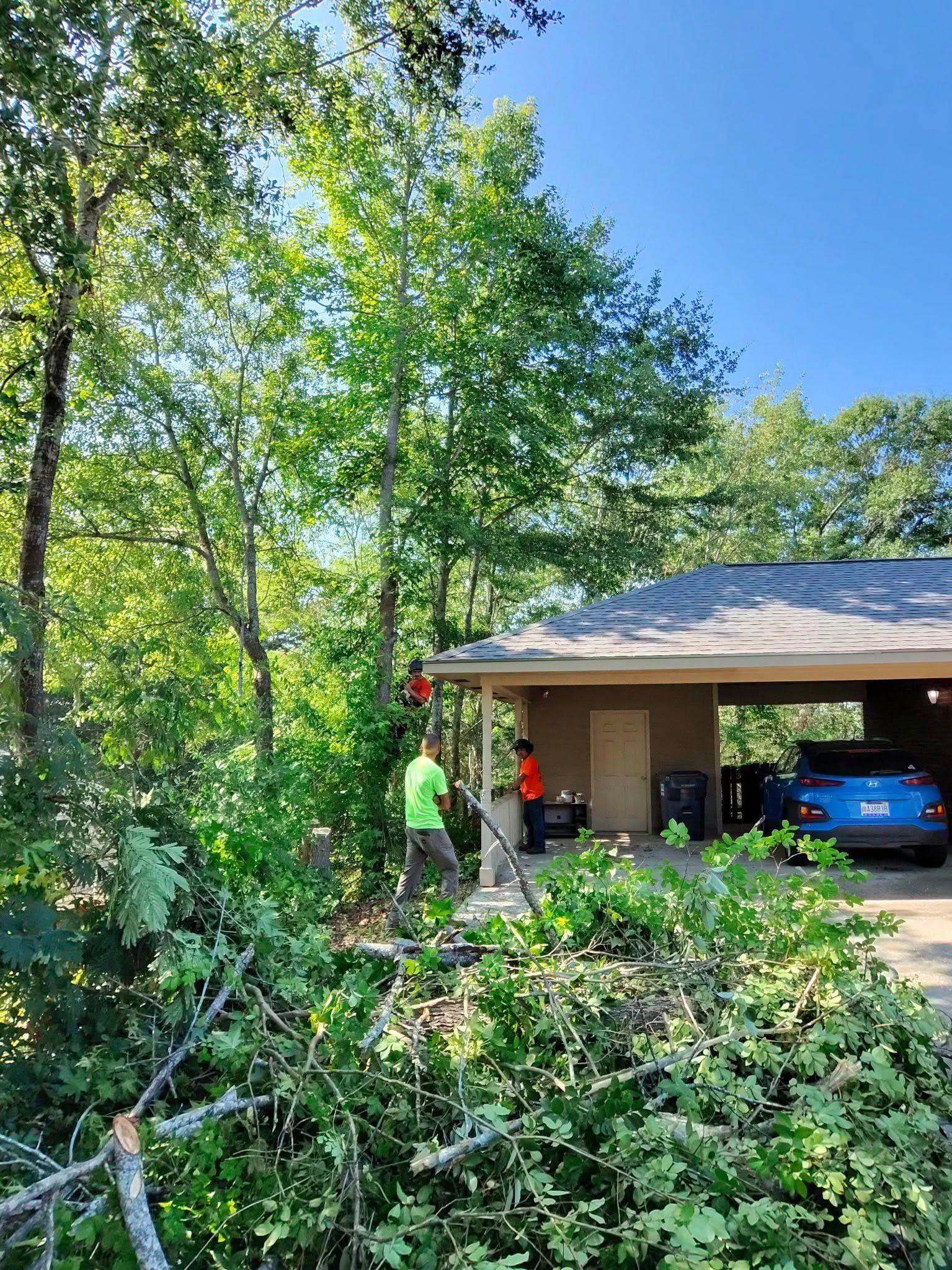 Overgrown yard beside a house with a car in the carport and a person in a green shirt near the trees