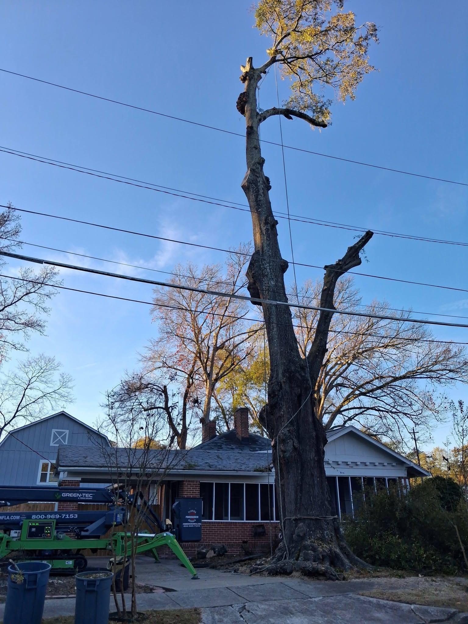 Broken tree trunk in a front yard beside a house, with power lines overhead and a blue sky.
