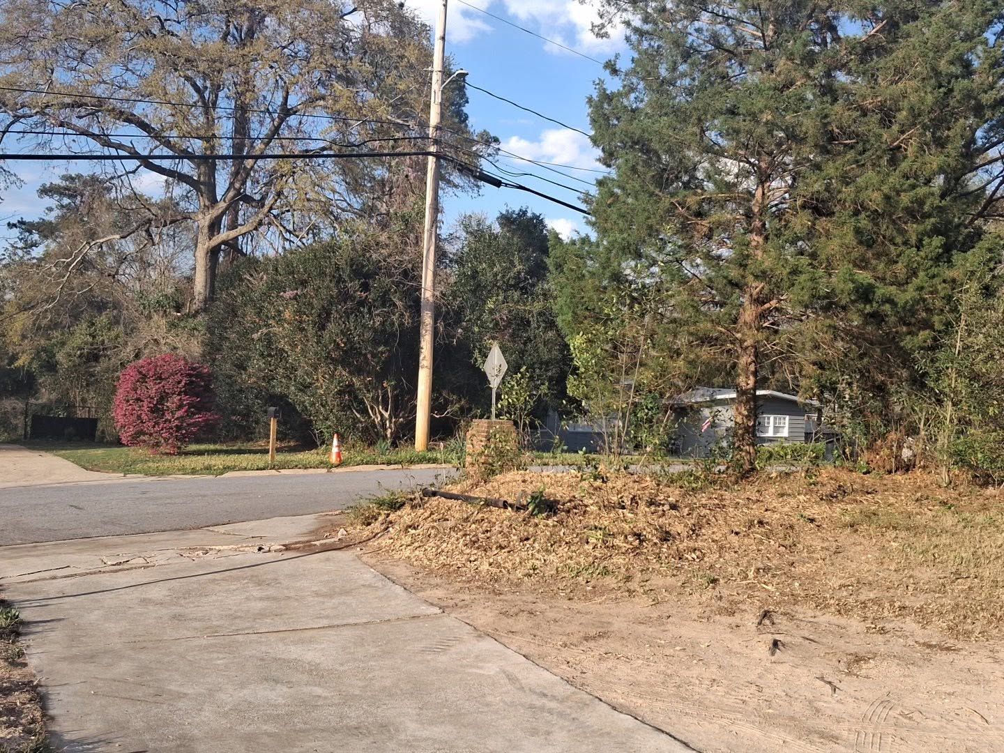 Wooded roadside with a gravel driveway, fallen leaves, utility poles, and blue sky