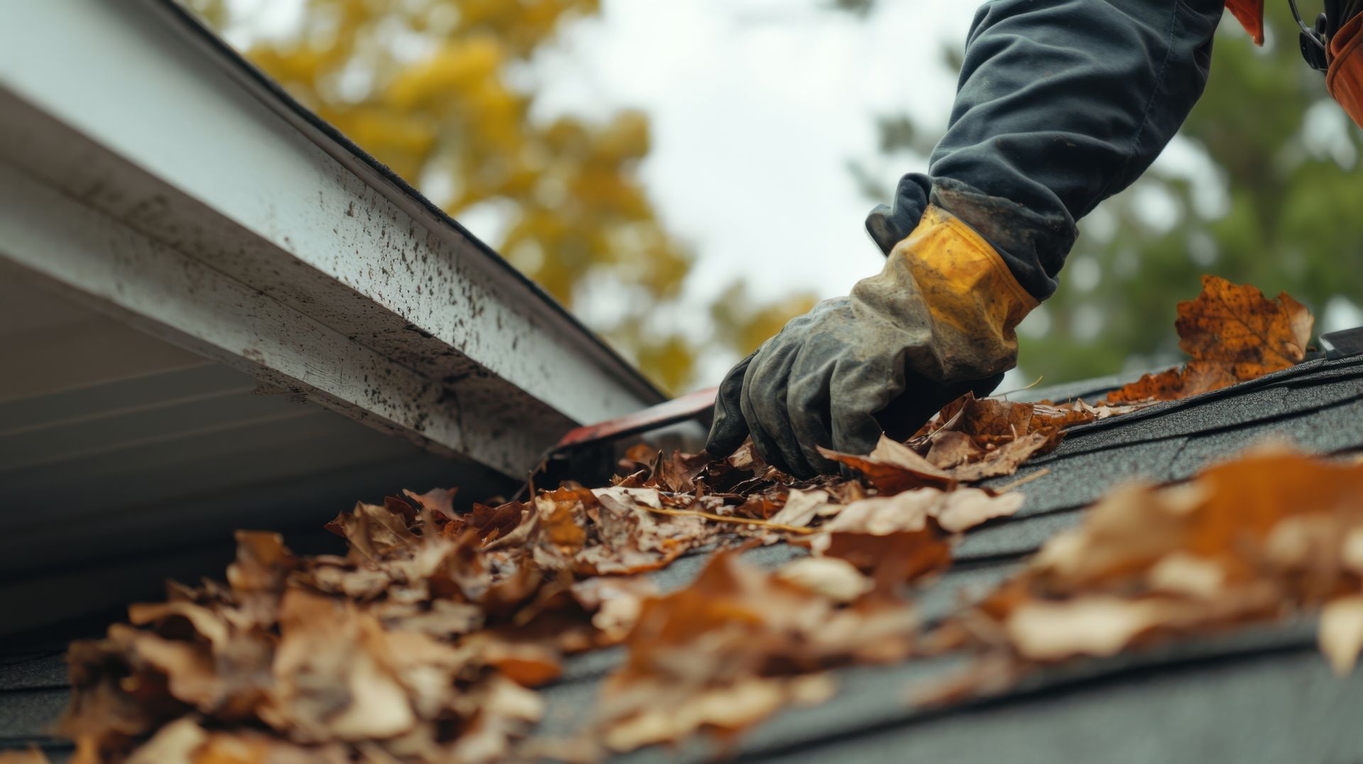 homeowner cleaning roof in The Woodlands