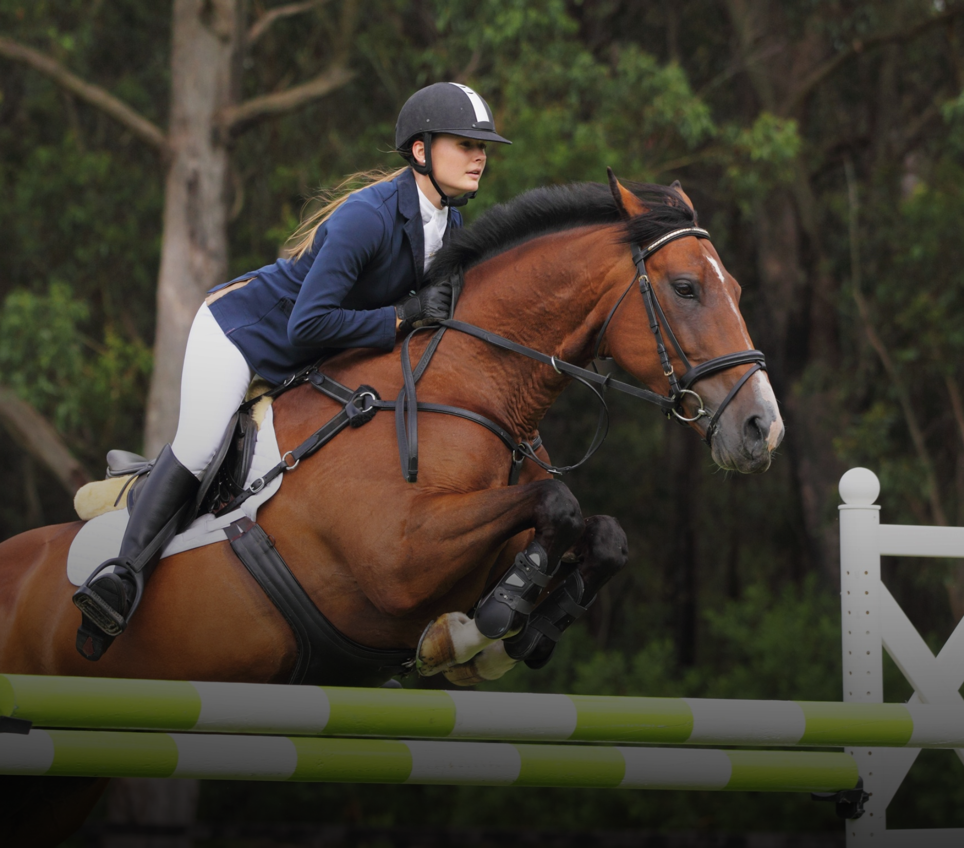 Woman on a brown horse jumping a hurdle at an outdoor equestrian event, wearing riding attire.