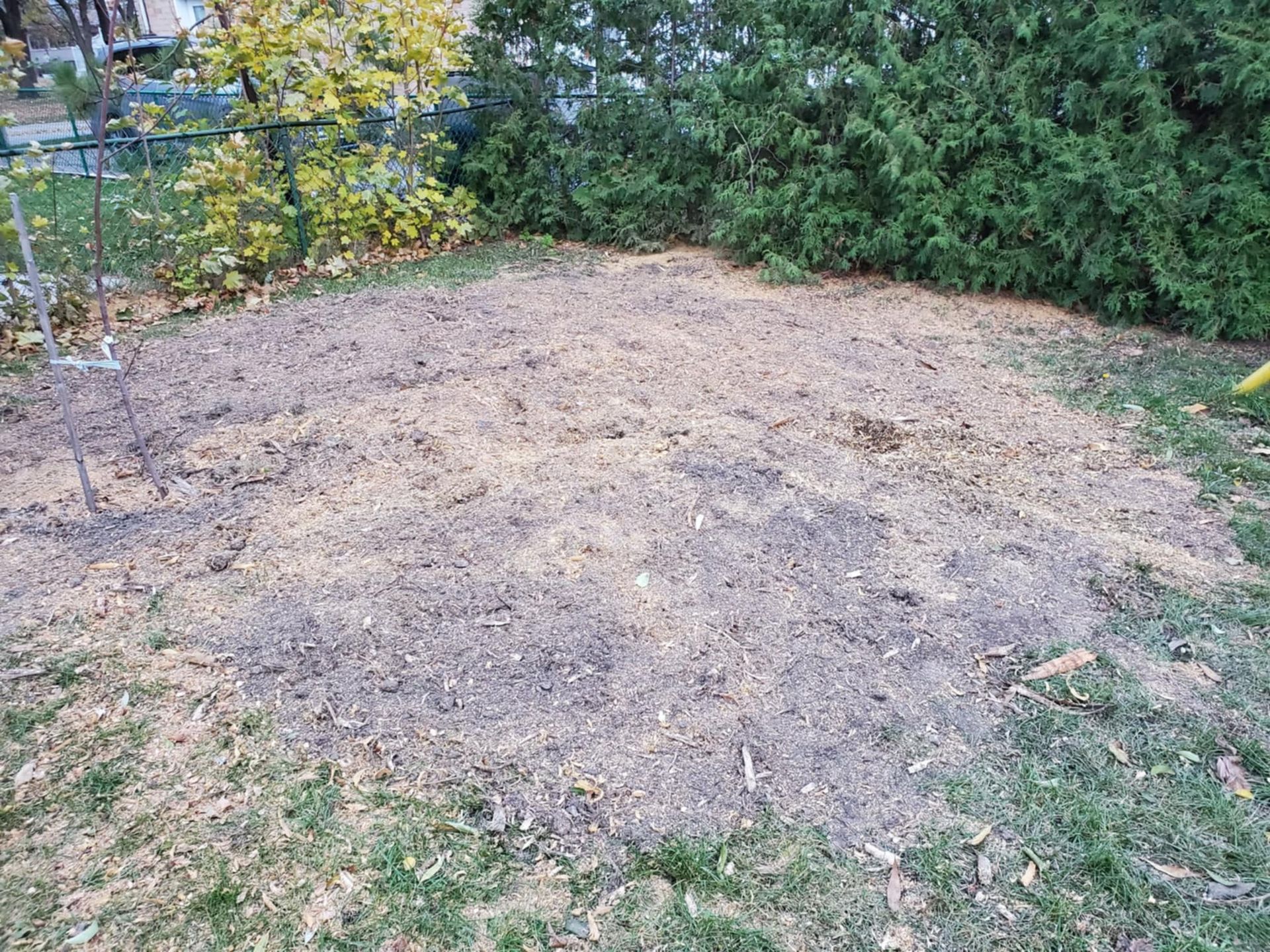 Des copeaux de bois bruns recouvrent une clairière dans un jardin gazonné. Des conifères se dressent à l'arrière-plan.